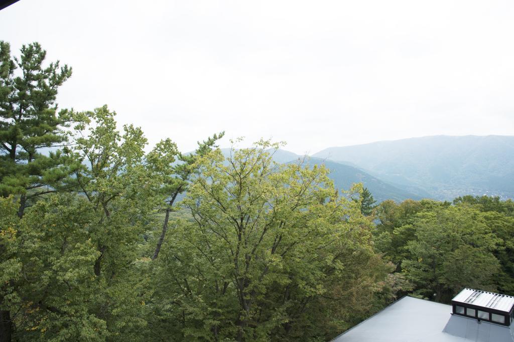 Gora Hanaougi Madoka No Mori Hakone Habitación foto
